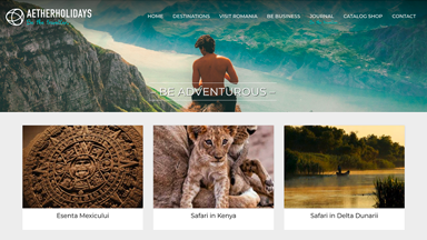 Web Design