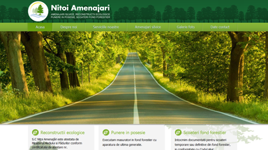 Web Design Brasov Amenajari Silvice