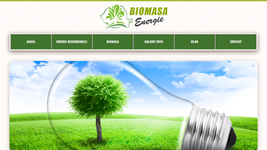 Web Design Brasov Biomasa Energie