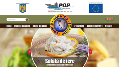 Web Design Brasov Doripesco