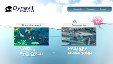 Web Design Brasov Dynavit