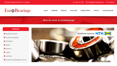 Web Design Brasov Euro Bearings