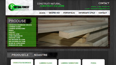 Web Design Brasov Constructii Lemn