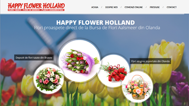 Web Design Brasov Happy Flower
