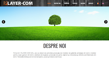 Web Design Brasov Mobila