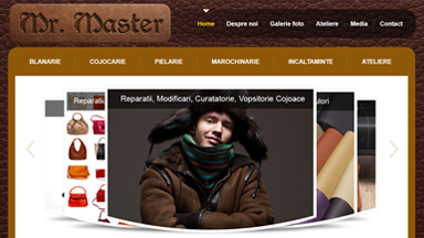Web Design Brasov Mister Master