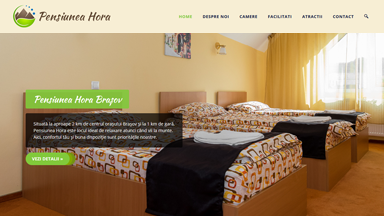 Web Design Brasov Pensiunea Hora