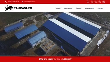 Web Design Brasov Ferma Bovine