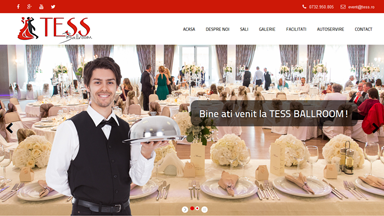 Web Design Brasov Tess Ballroom