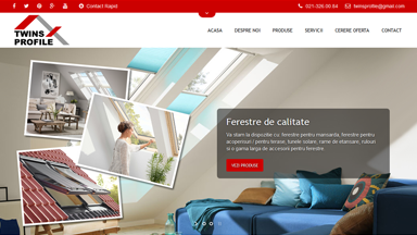 Web Design Brasov Twins Profile