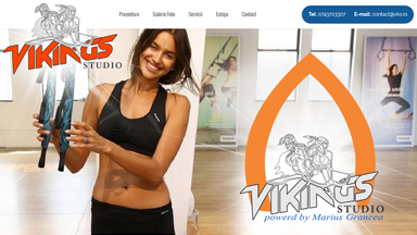 Web Design Brasov Vikings Studio