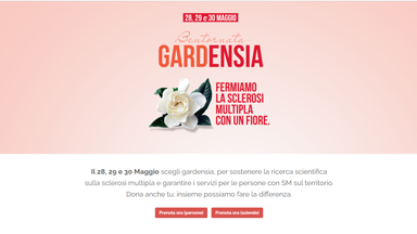 Web Design Gardensia